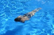 אימוני שחייה למבוגרים | קורס שחייה | שחיית חזה- שחיית חתירה